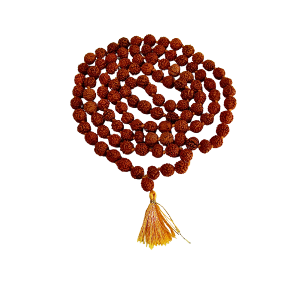 Mahadev’s Blessings Gift Box | Offering for Every Occasion
