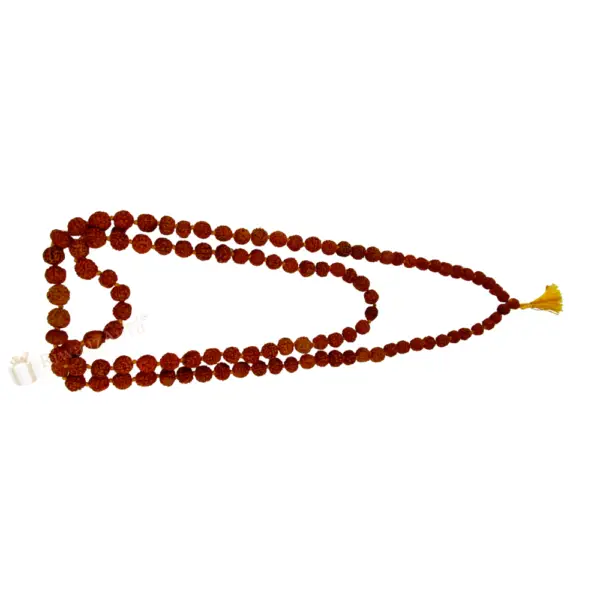 Rudraksha Mala | 108 Beads Of Purity